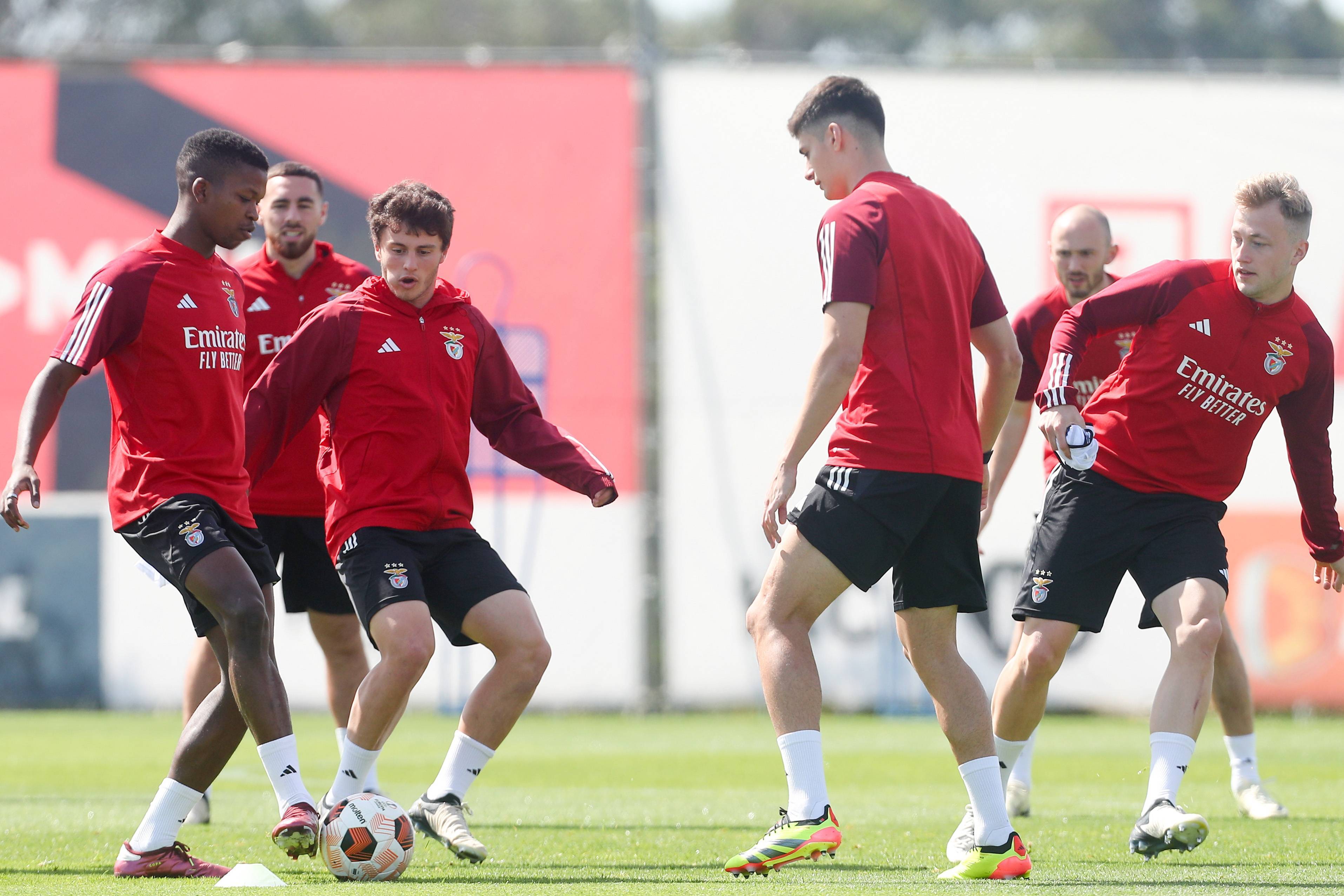 热刺最新伤停情况表